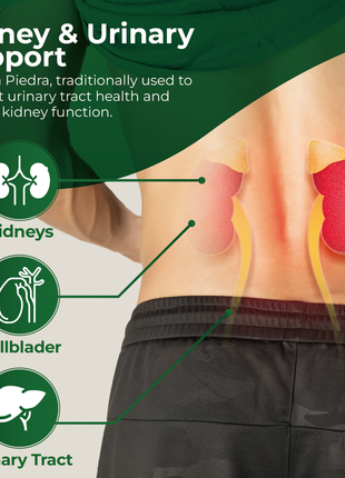 Hallusa Natural - Hall ChancaPiedra Stone Breaker 1000 mg - Kidney Cleanse & Gallbladder Supplement, Urinary Tract Health - 60 Capsules