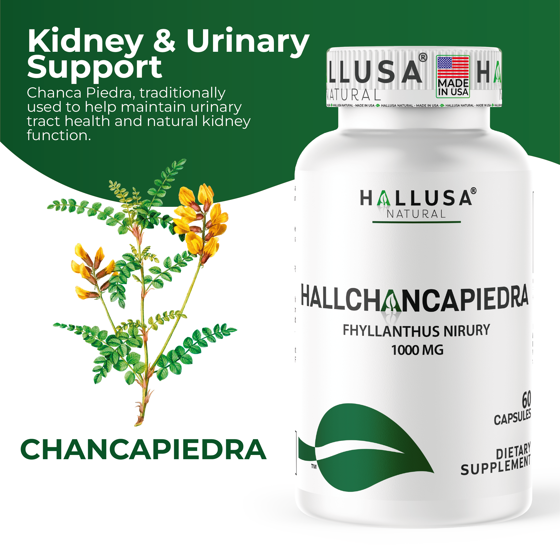 Chanca Piedra 1600 mg 120 tablets Peruvian material Stone Chanca Piedra 1600 mg 120 tablets Peruvian material Stone