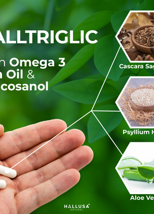 Halltriglic - Omega 3 Fish Oil - DHA 18% EPA 12% - Cholesterol Supplements - Omega 3 Fatty Acids - Blood Pressure Supplements - 100 - Hallusa Natural